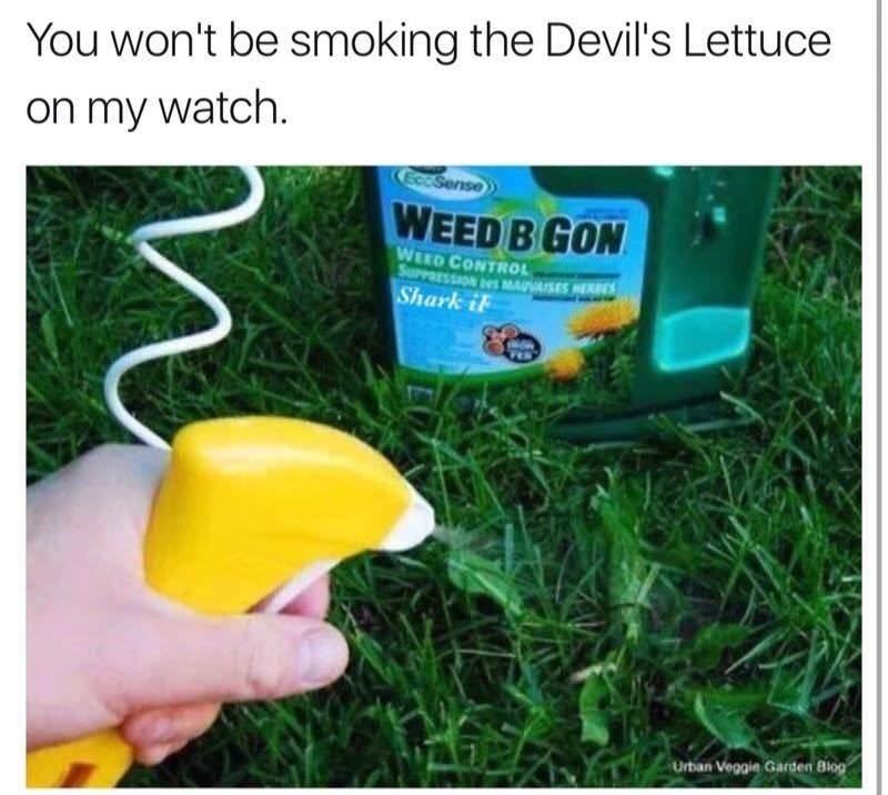 26 Hilarious Sunday Memes To End the Week On A Funny Note 20 You wont be smoking