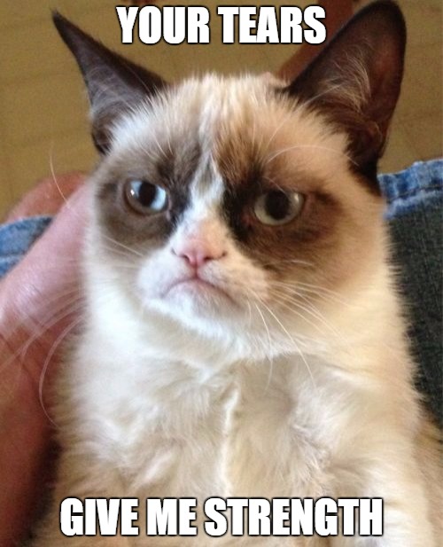 25 Grumpy Cat Memes That Will Make You Relate To Your Own Grumpiness 19 Your tears give me strength