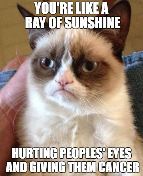 25 Grumpy Cat Memes That Will Make You Relate To Your Own Grumpiness 20 Youre like a ray of sunshine - grumpy cat memes