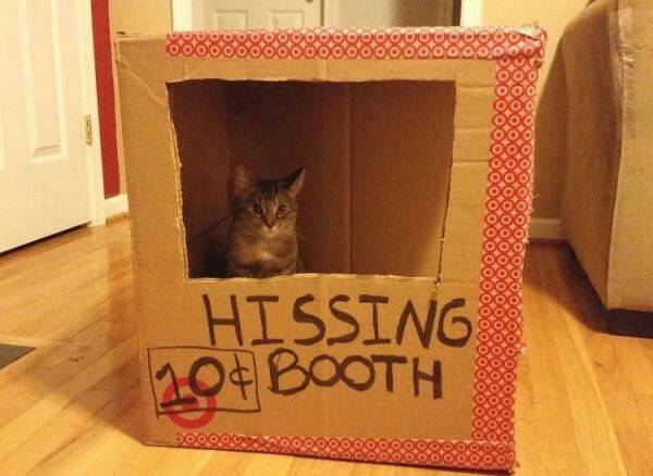 25 Monday Memes To Make Your Morning Coffee Even Better! 5 hissing booth