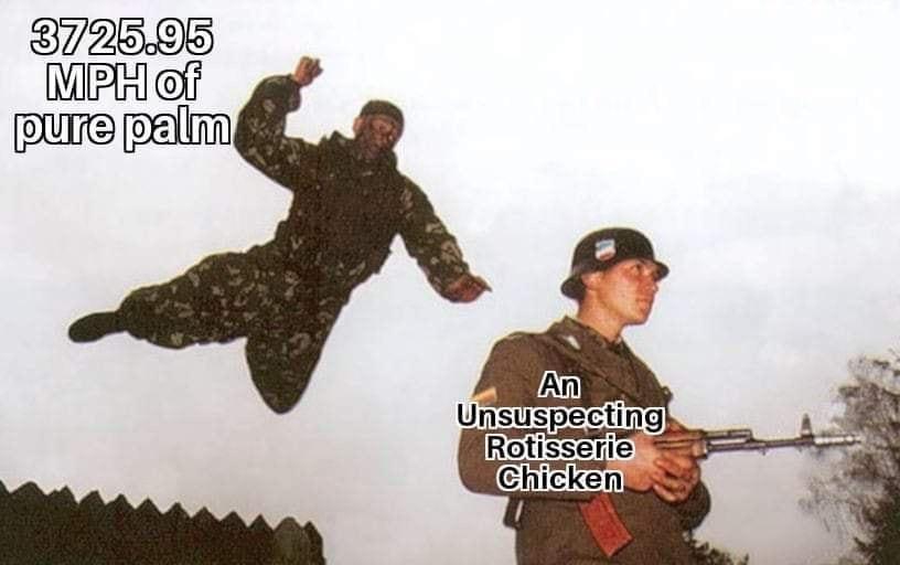 30 Backlogged Memes That Deserve Your Attention 8 hitting plam on chicken