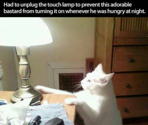 25 Monday Memes To Make Your Morning Coffee Even Better! 16 unplug the touch lamp
