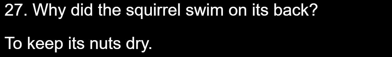 35 Dirty Jokes For The Naughty Souls 27 27 - Squirell swim on its back - dirty jokes
