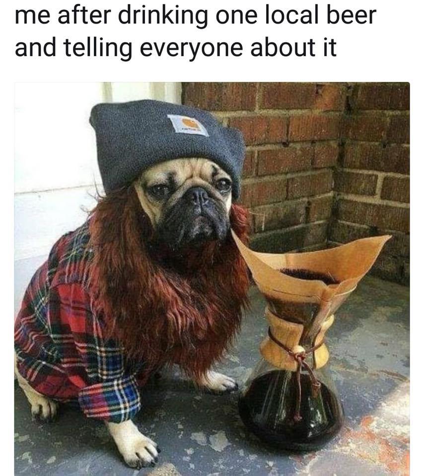 25 Fun Memes Will Make You Laugh So Hard, Your Neighbors Will File a Noise Complaint 1 After drinking one local beer - Fun Memes