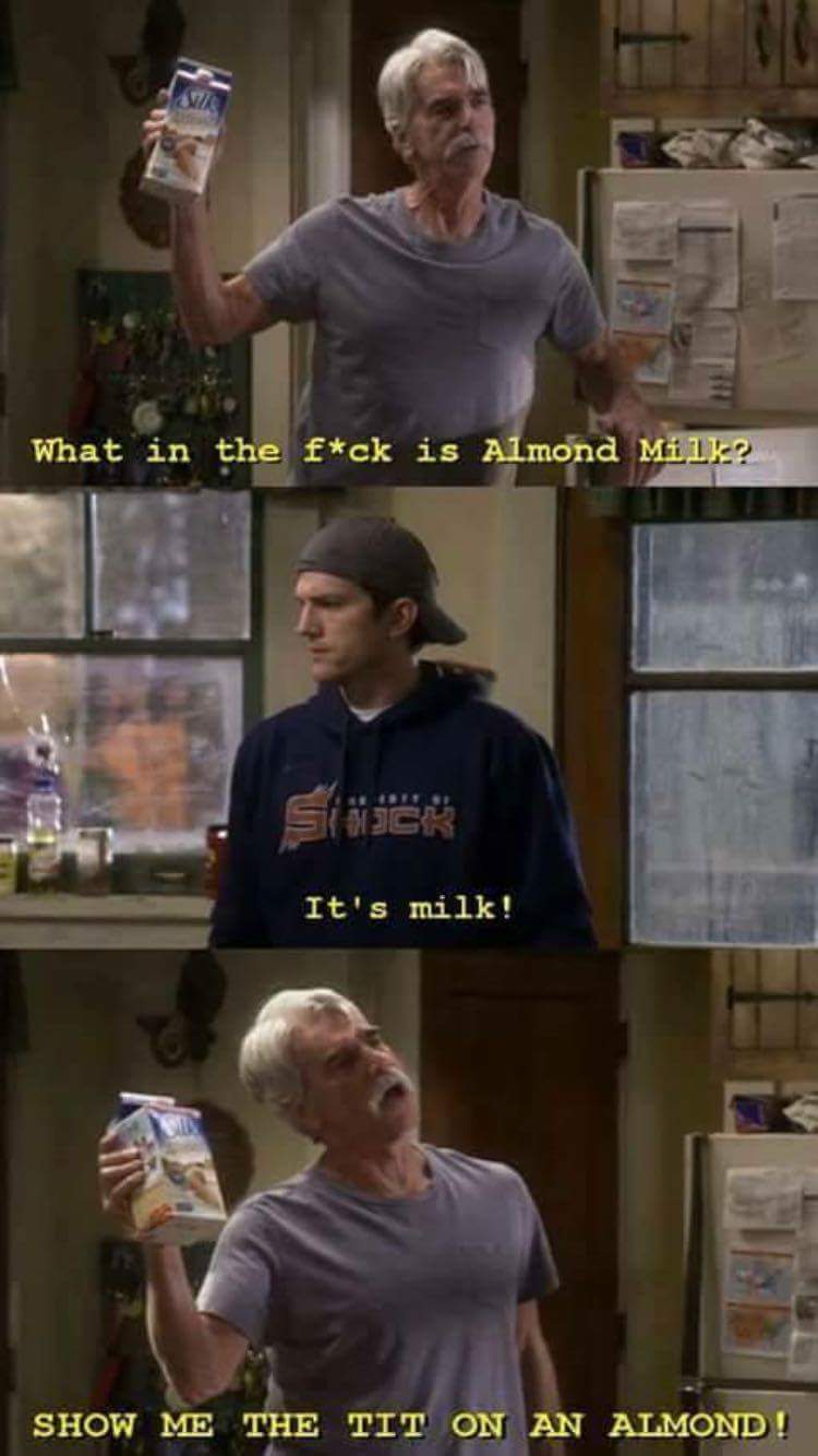 30 Dumb Memes That Will Make You Question The Future Of Humor 1 Almond milk - Dumb Memes