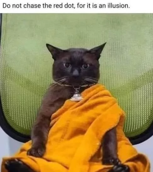 An Advice From Meow Tsu 1 cat chasing red dot meme