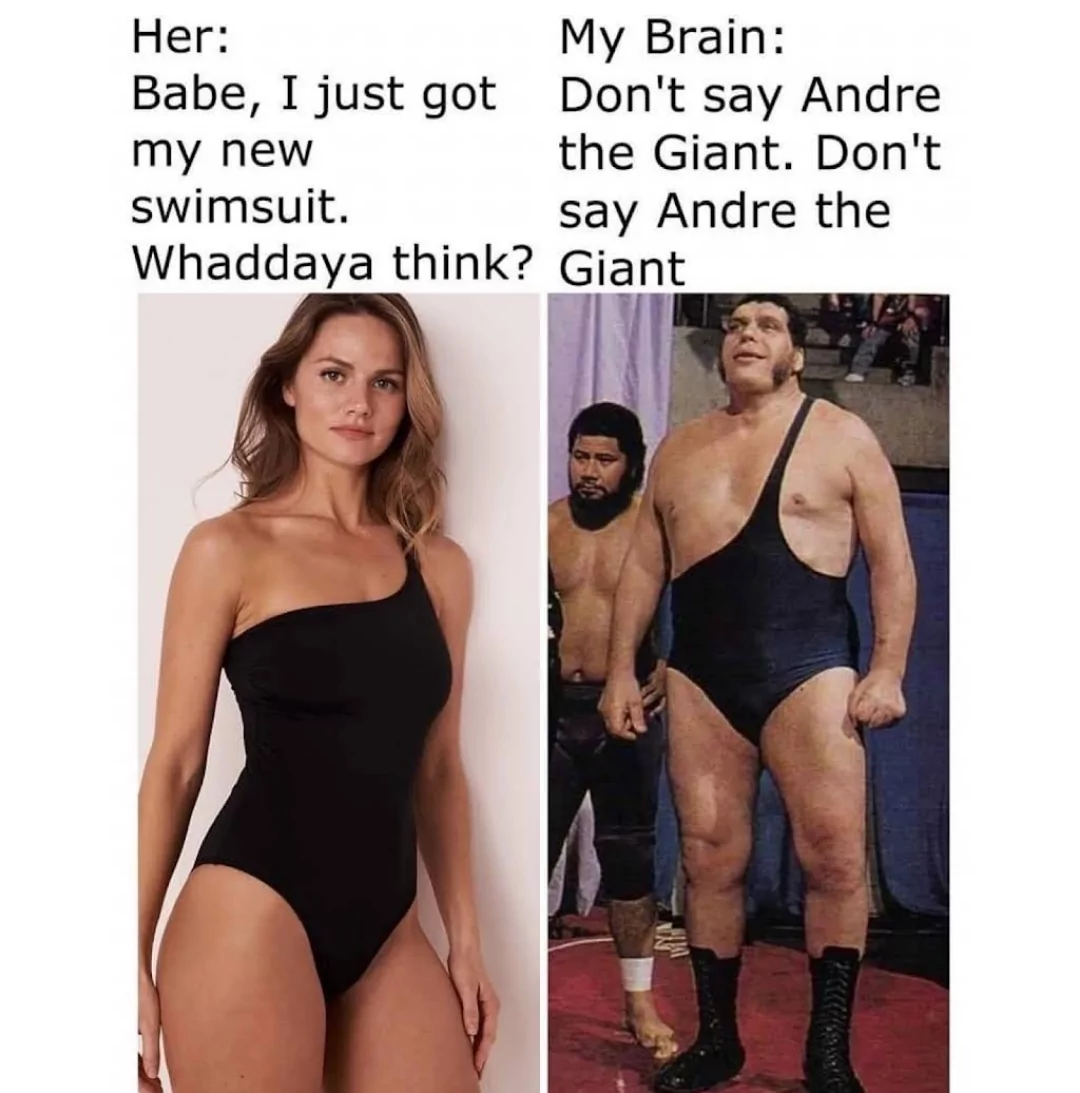 Andre The Giant Funny