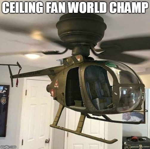 25 Fan Memes That Will Blow You Away With Laughter & Breezy Vibes 2 Ceiling fan world champ - Fan Memes