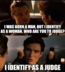 Judge memes