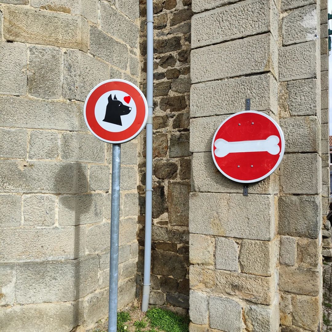 25 Ordinary Streets Turned Into Hilarious Street Art Canvases By Oakoak 6 Dog and Bone