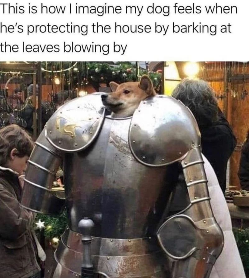 20 Wholesome Dog Memes That Are Paw-sitively Paw-some 6 Dog protecting the house - Wholesome Dog Memes
