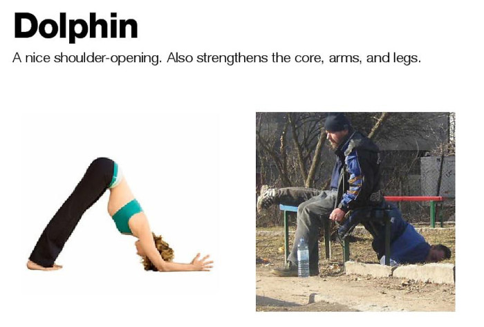 22 Yoga vs Vodka Memes That Prove Flexibility Isn't Just For Yogis! 5 Dolphin - Yoga vs Vodka Memes