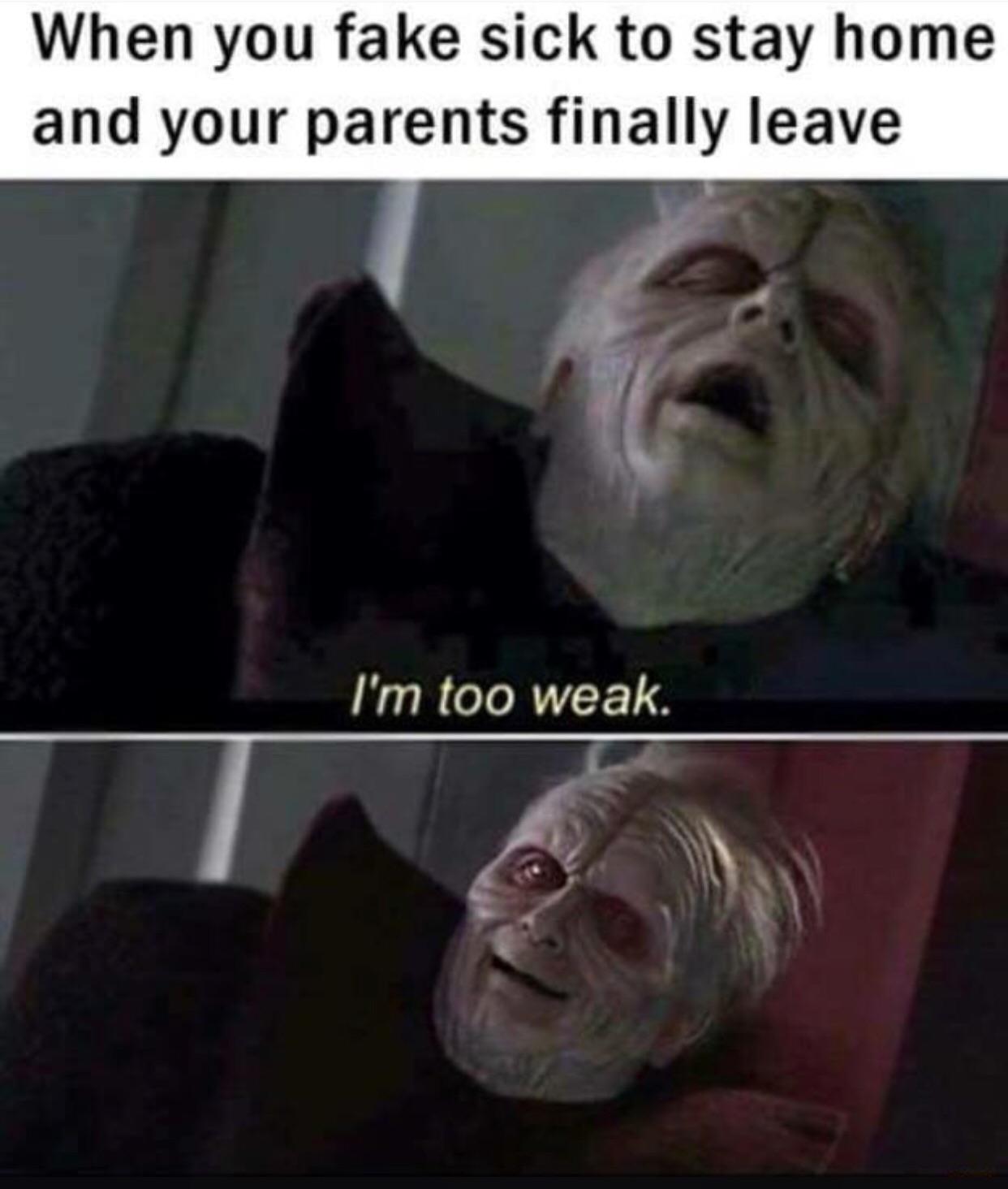 30 Stupid Memes That Deserve An Eye Roll 5 Fake sick - stupid memes