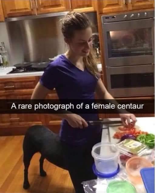 20 Happy Friday Memes To Help You Crawl Your Way To The Weekend Finish Line 6 Female cantaur - Happy Friday memes