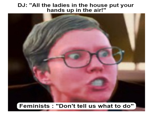 Feminist Jokes - FG