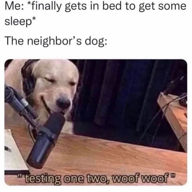 20 Wholesome Dog Memes That Are Paw-sitively Paw-some 7 Finally gets in bed - Wholesome Dog Memes