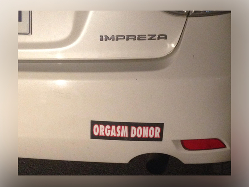 Funny Bumper Sticker - FG