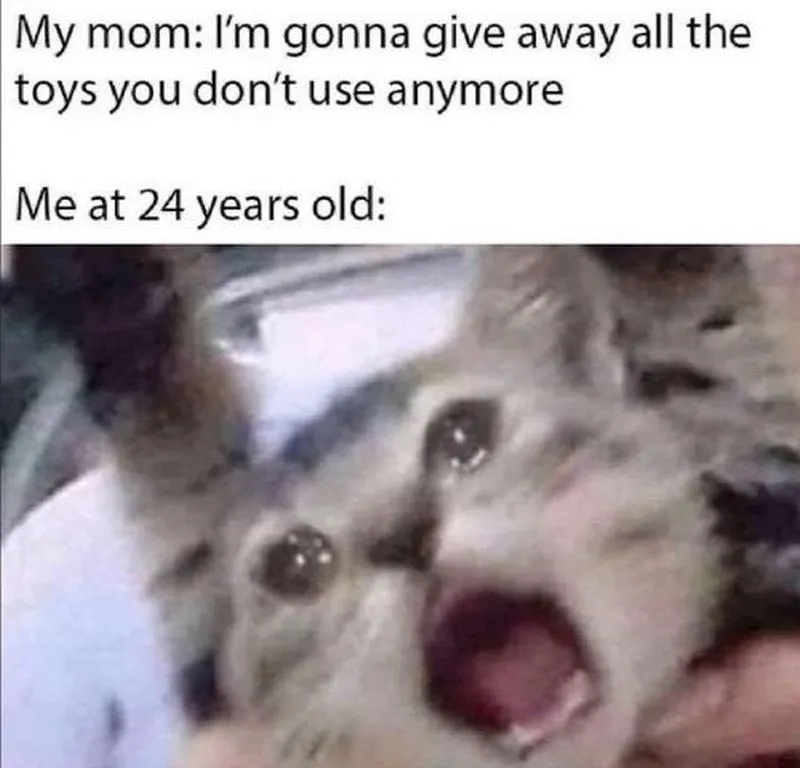 25 Hilarious Crying Cat Memes That Will Have You In Tears…Of Laughter! 3 Give away all the toys - Crying Cat Memes