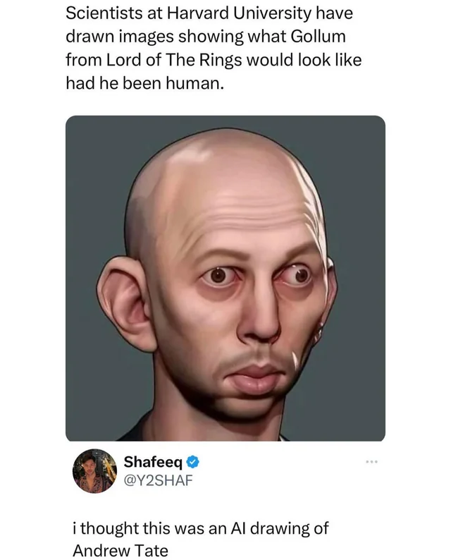 50 People Who Completely Missed The Joke 17 Gollum from lord of the rings
