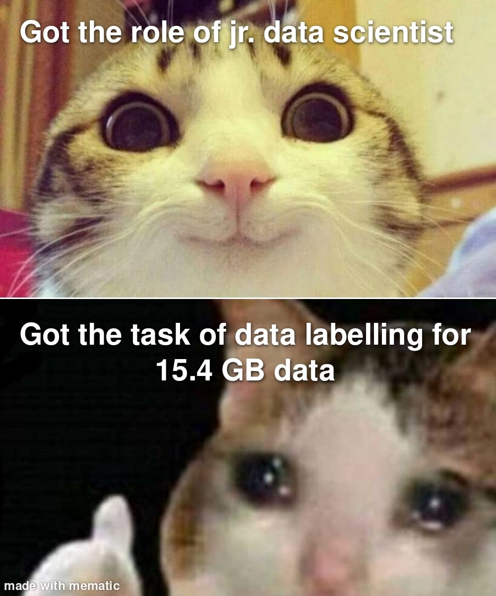 25 Hilarious Crying Cat Memes That Will Have You In Tears…Of Laughter! 4 Got job at data scientist