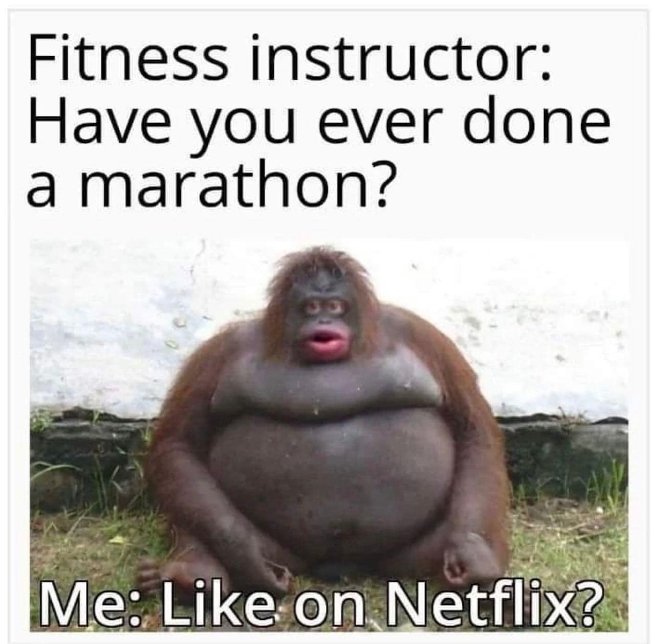 35 Nasty Memes That Cross The Line 6 Have you ever done marathon - nasty memes
