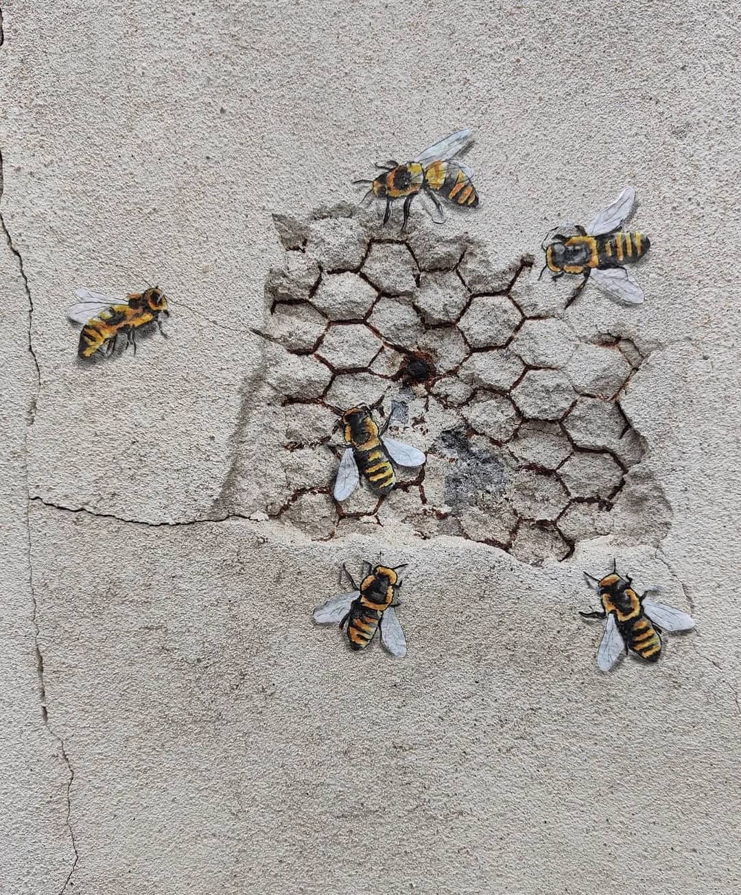 25 Ordinary Streets Turned Into Hilarious Street Art Canvases By Oakoak 8 Honey Comb