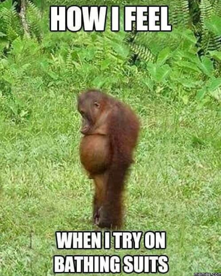 35 Summer Memes That Will Make You Sweat… With Laughter! 8 How I feel - summer memes
