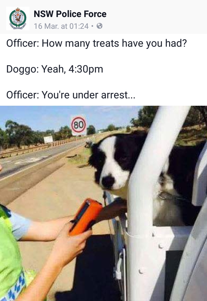 20 Hilarious NSW Police Posts: When Law Enforcement Meets Stand-Up Comedy 4 How many treats have you had