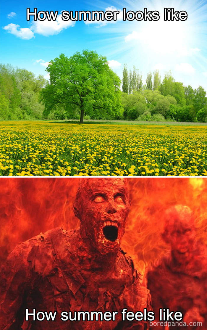 35 Summer Memes That Will Make You Sweat… With Laughter! 10 How summer looks like - summer memes