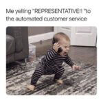 customer service memes