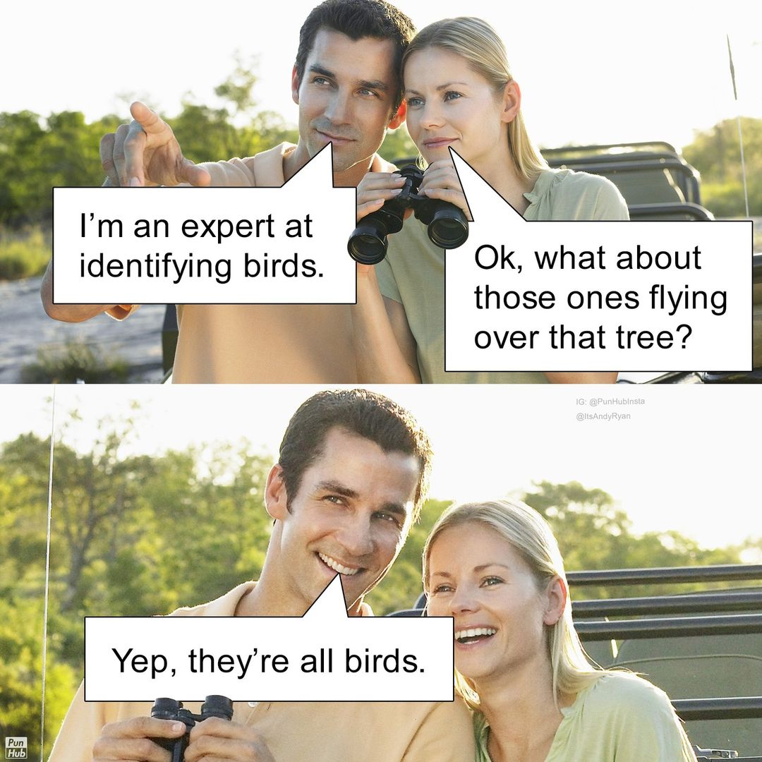 45 Knee-Slapping Puns From Punhub That Are Funny & Silly 15 I dentifying birds - puns