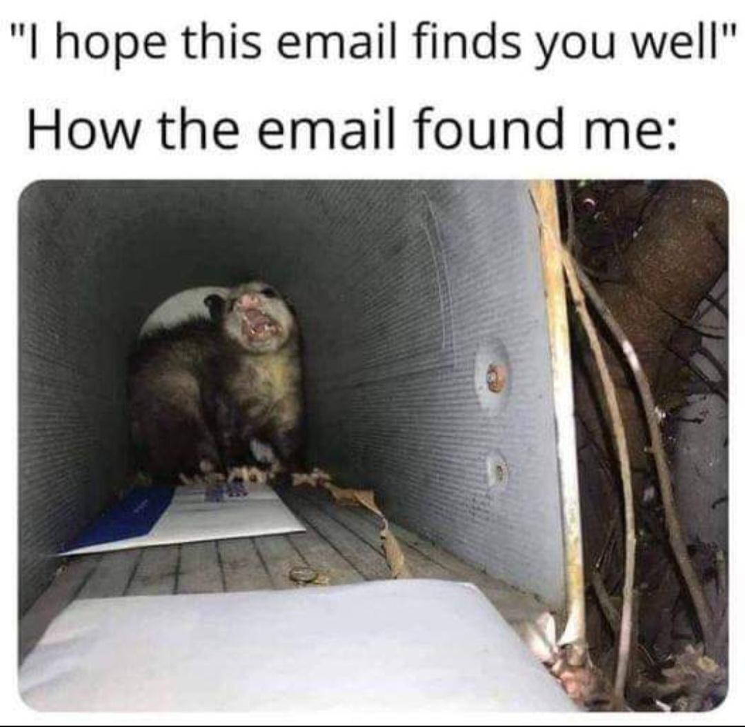 25 Funny Memes That Will Send You Into Fits of Laughter 8 I hope this mail finds you well - Funny Memes