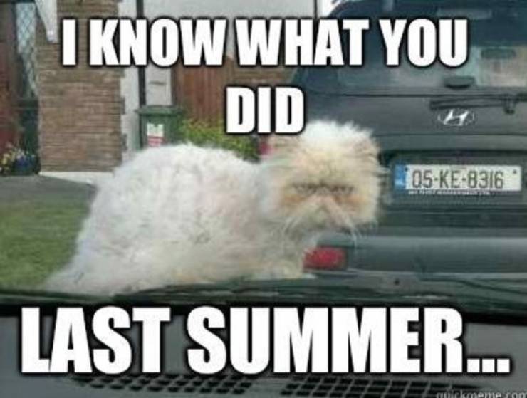 35 Summer Memes That Will Make You Sweat… With Laughter! 11 I know what you did last summer - summer memes
