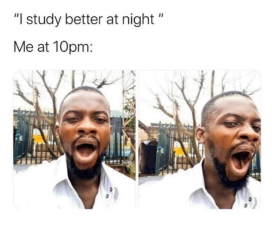 55 Relatable Memes That Perfectly Capture The Coffee-Addicted Student Life 13 I study better at night
