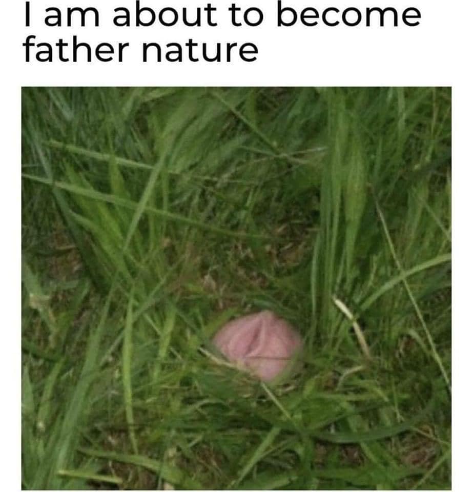 35 Nasty Memes That Cross The Line 12 Im about to become nature - nasty memes