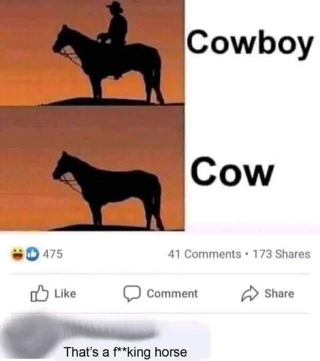 50 People Who Completely Missed The Joke 28 Its a horse