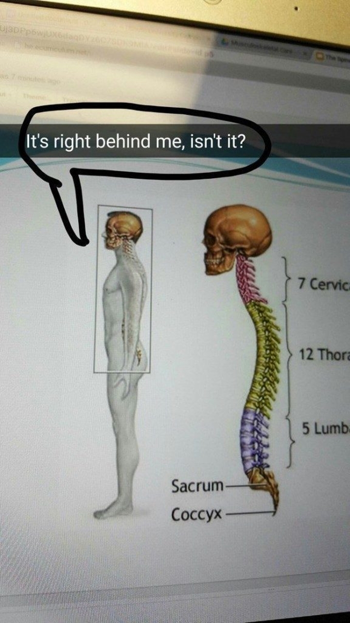 35 Medical Memes A Day Keeps The Doctor Away 12 Its right behind me - Medical Memes