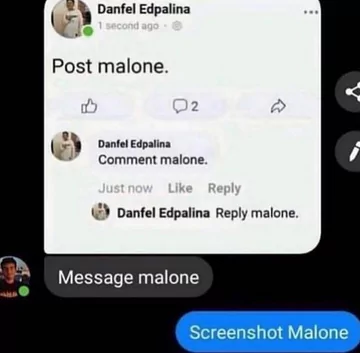 Leave Malone 1 post malone memes