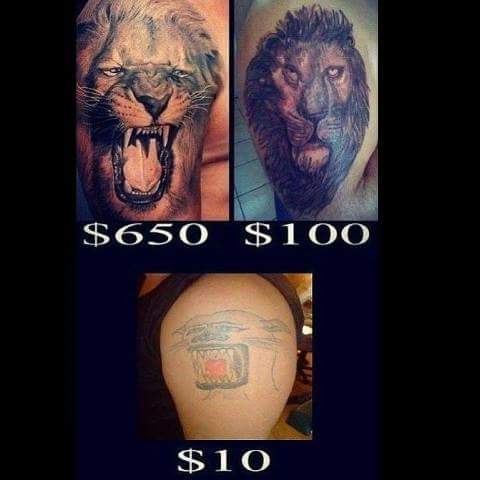 30 Dumb Memes That Will Make You Question The Future Of Humor 8 Lion tattoo - Dumb Memes