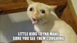Little Kids Be Like meme