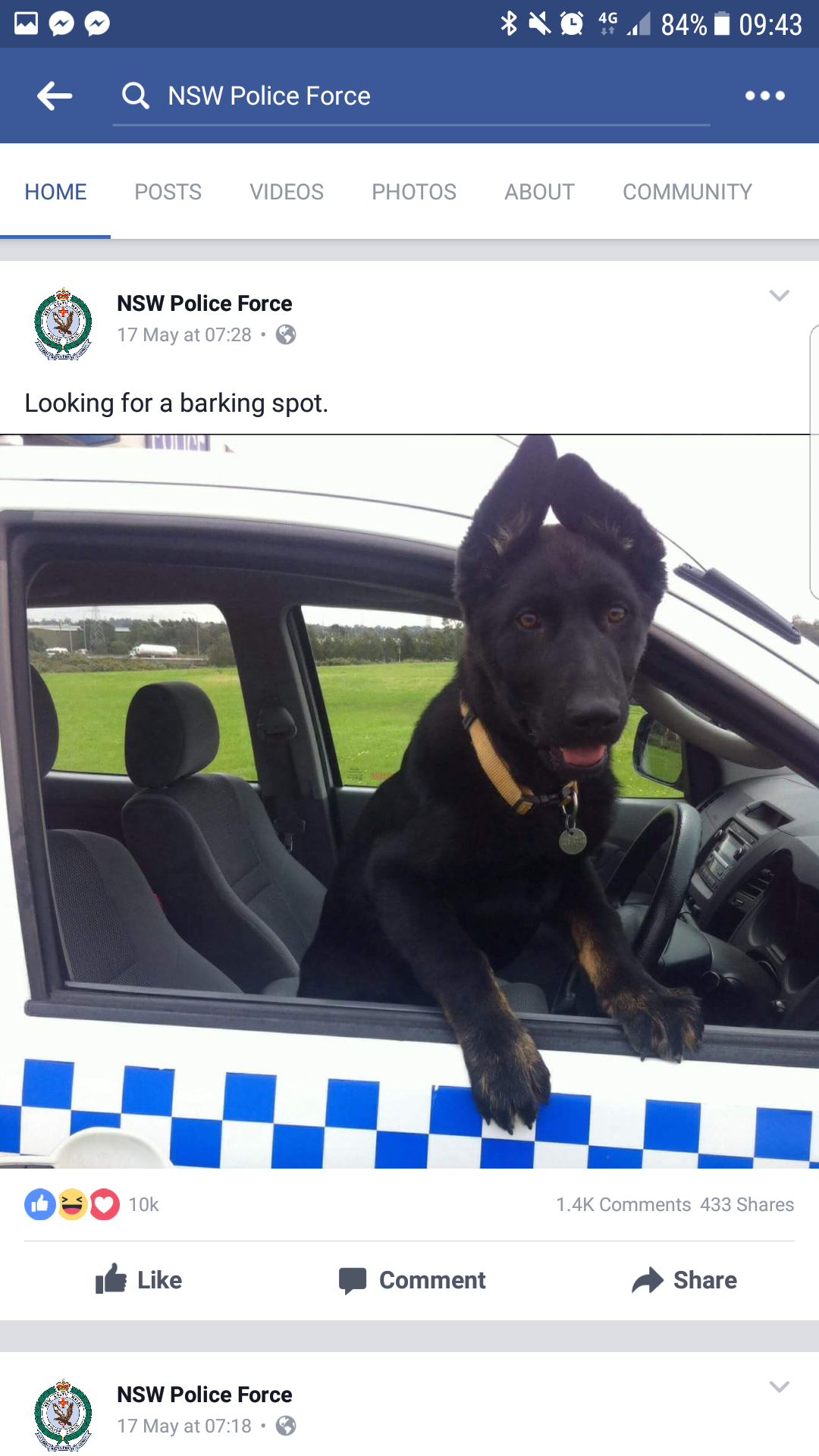 20 Hilarious NSW Police Posts: When Law Enforcement Meets Stand-Up Comedy 9 Looking for a barking spot - NSW Police