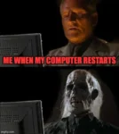 Computer meme
