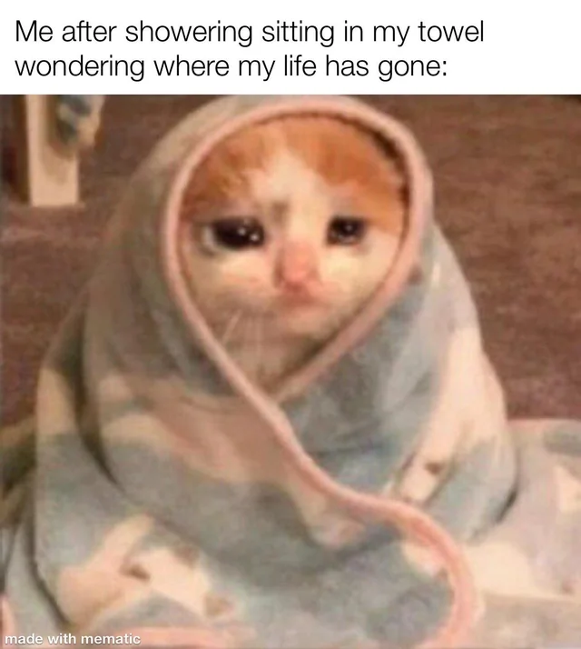 25 Hilarious Crying Cat Memes That Will Have You In Tears…Of Laughter! 5 Me after shower - Crying Cat Memes