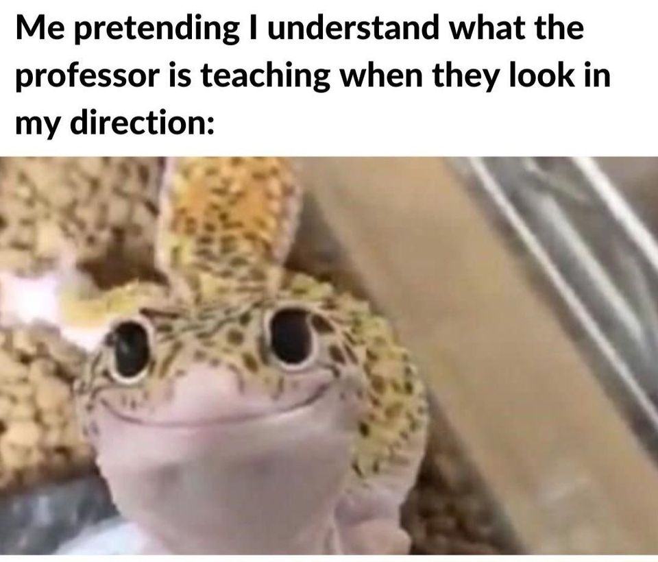 55 Relatable Memes That Perfectly Capture The Coffee-Addicted Student Life 25 Me pretending