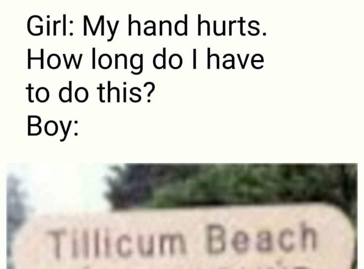 30 Dumb Memes That Will Make You Question The Future Of Humor 10 My hand hurts