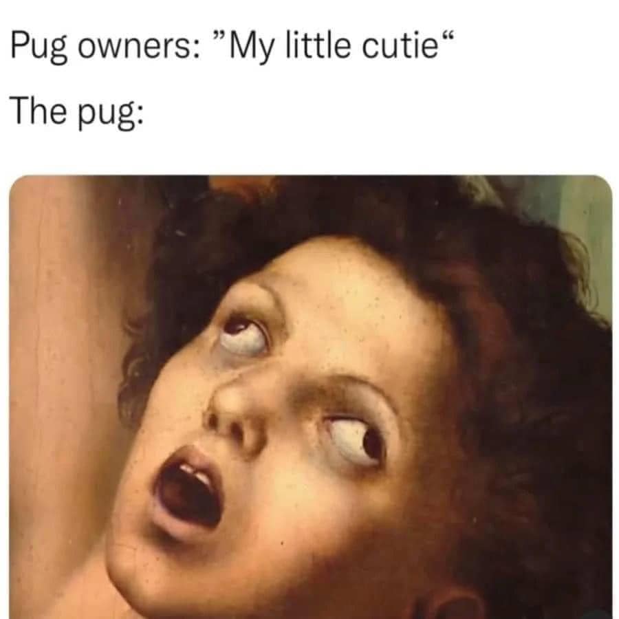 35 Nasty Memes That Cross The Line 17 My little cutie - nasty memes