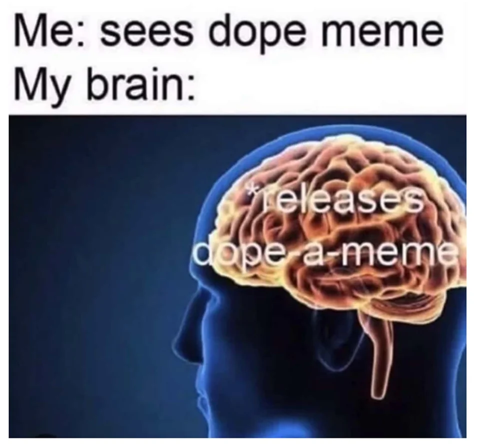 45 Hilarious Science Memes That Will Make Your Brain Cells Dance 21 Neurotransmitters At Work - Science Memes