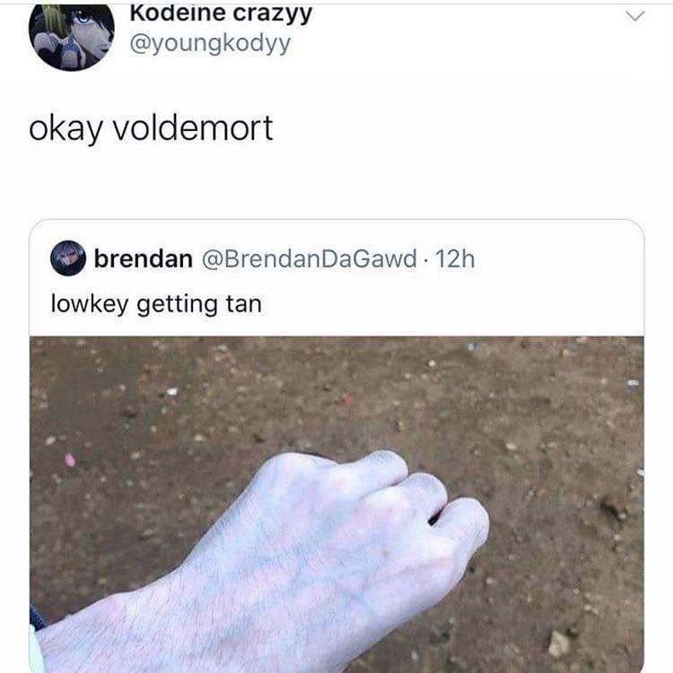 20 Sunday Funday Memes That Will Make You Forget About Monday 7 Okay voldemort - Sunday Funday Memes