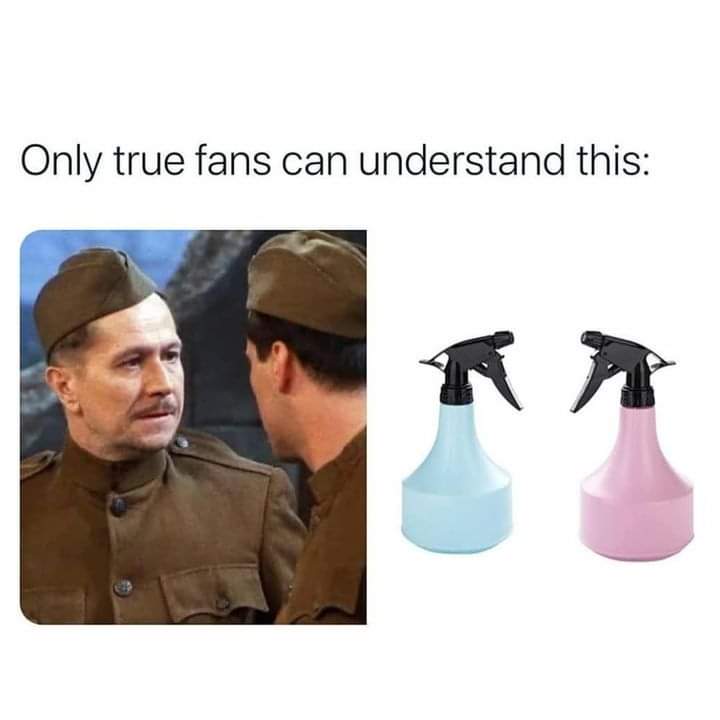 Only True Fans Can Understand This 1 friends meme