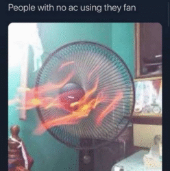 25 Fan Memes That Will Blow You Away With Laughter & Breezy Vibes - Funny